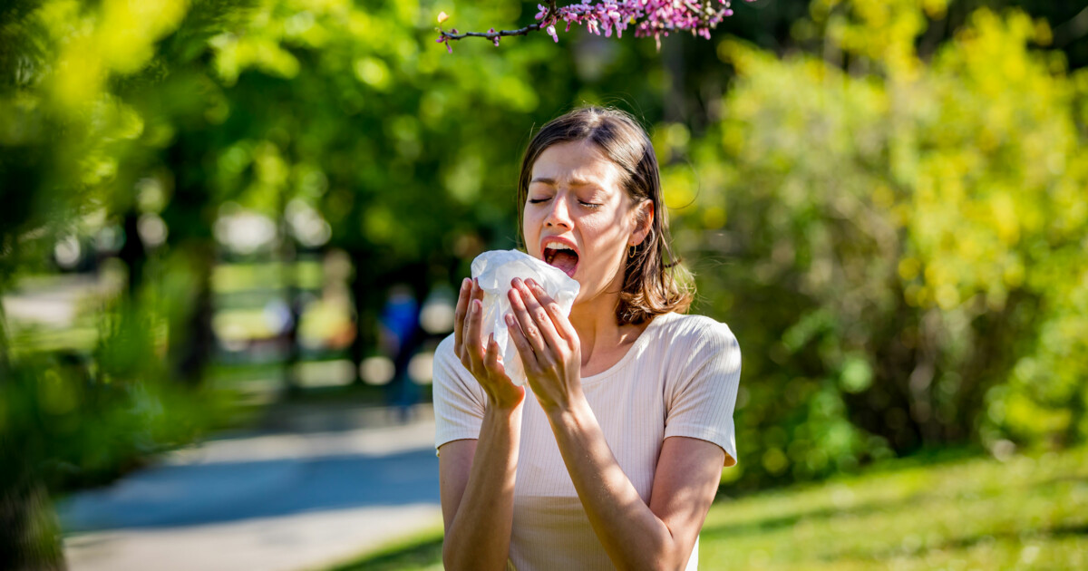 Photo of a woman in a park setting sneezing from seasonal allergies